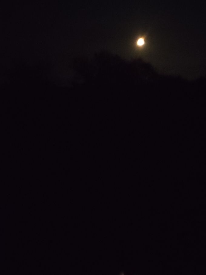 En voulant photographier la superlune (au plus près de la terre) Sandra a eu la surprise de voir une silhouette en bas une main posée sur un bâton, et l'autre levée vers le haut, une demande d'aide du ciel